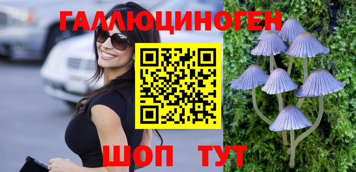 где купить наркоту  Вход с VPN  Нижний Новгород  Псилоцибиновые грибы Magic Shrooms  Галлюциногенные грибы Cubensis 